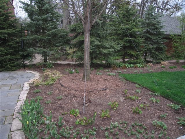 Lake Bluff (Before 4/6)