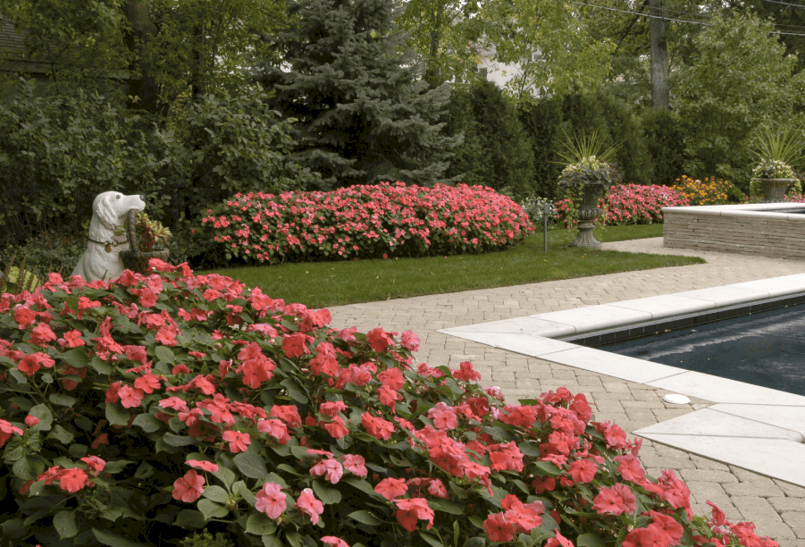 Hardscape as Hero in Kenilworth