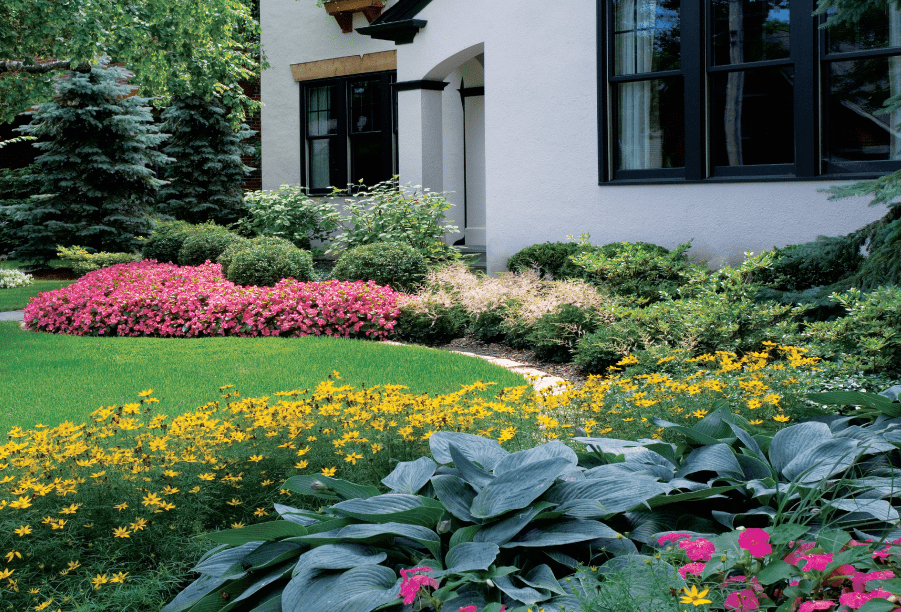 A Blend of Colors and Textures