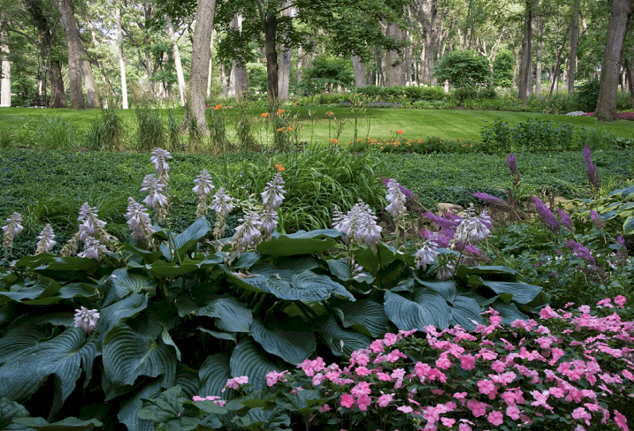 Well-Adapted Perennials Thrive in Lake Geneva