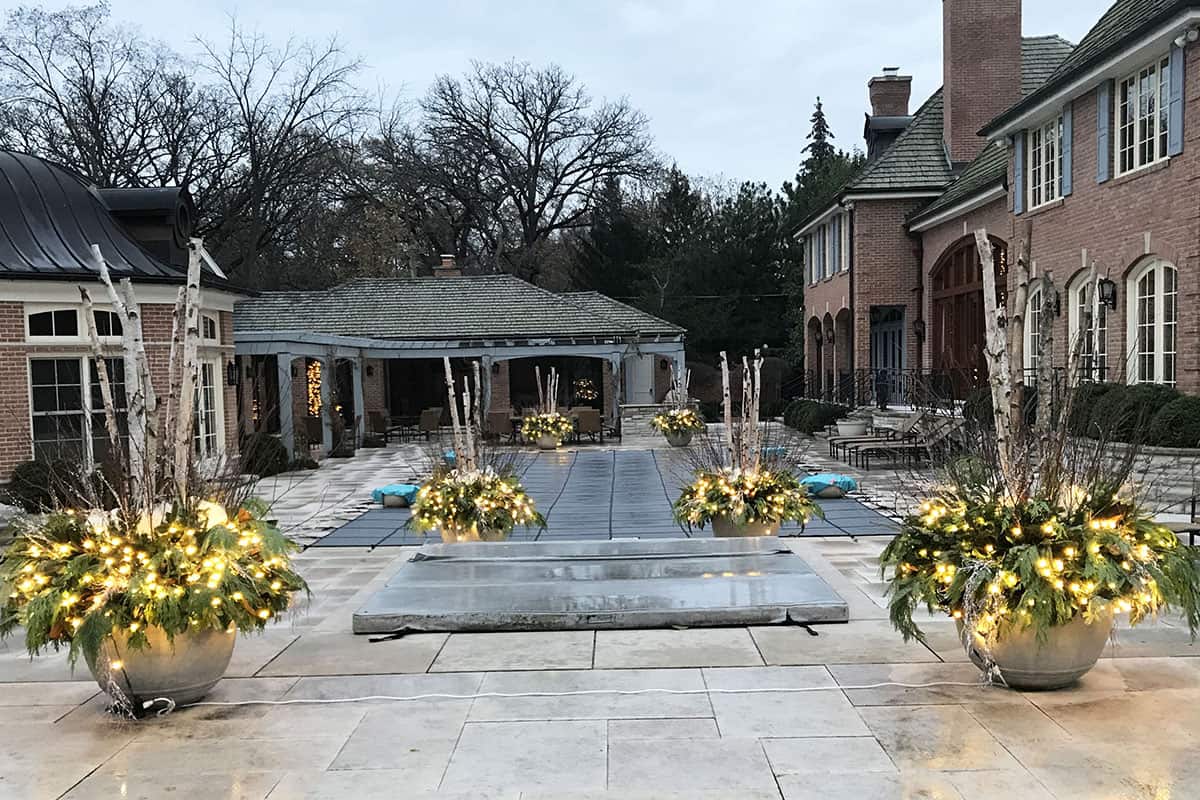 Winter Containers Light Up the Season