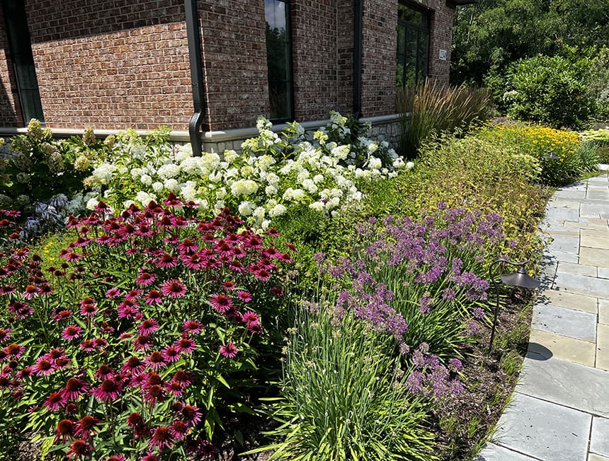 Before renovation view of a foundation planting area in Kildeer, Illinois, showing bare mulch beds alongside a stone walkway and brick home.