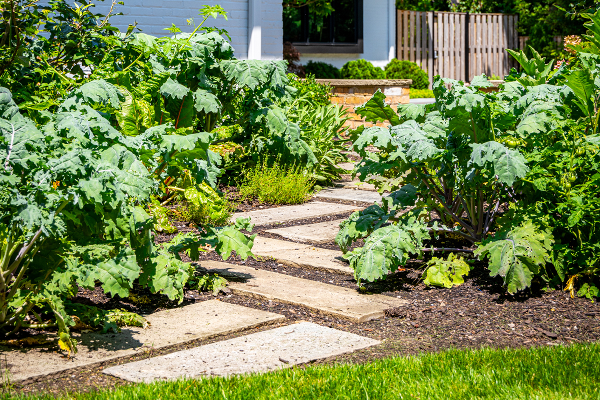 Elegant Garden Pathway - Van Zelst