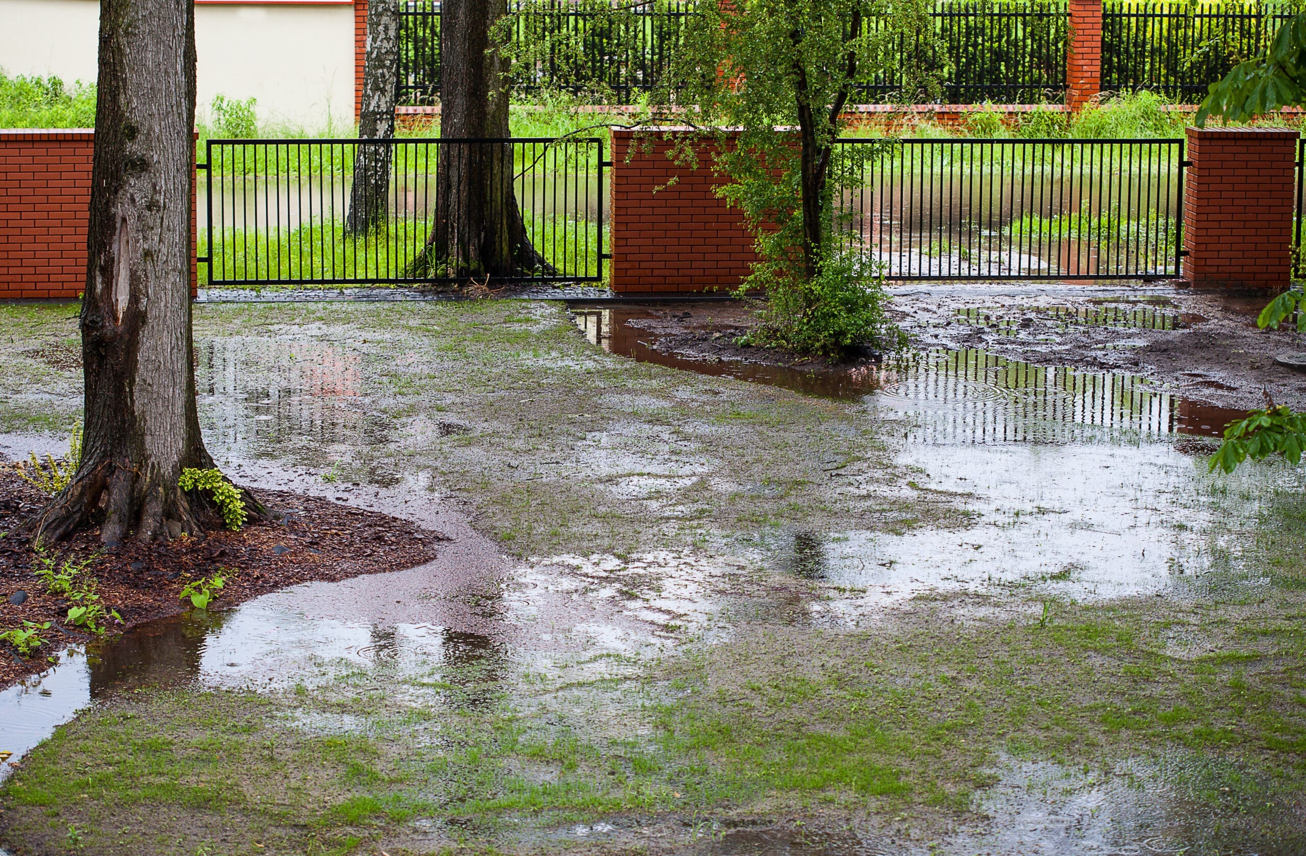 north shore yard drainage