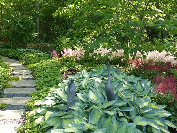 garden bird art with hosta in foreground