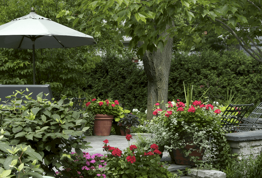 Informal Seating in Wilmette