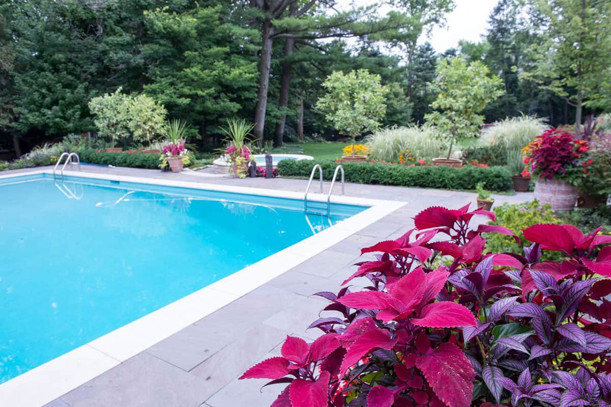 bluestone-pool-deck-limestone-coping