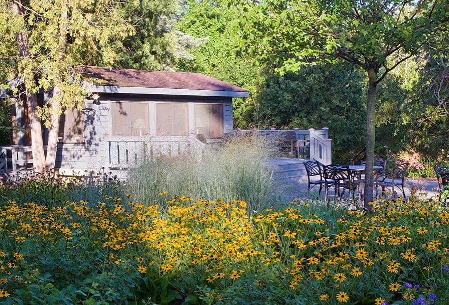 Wildflowers Go Wild