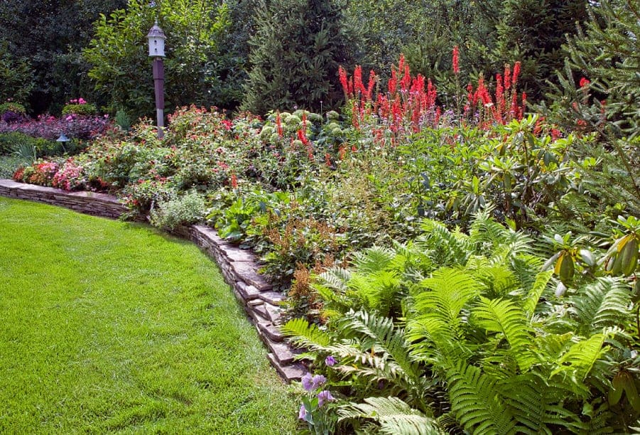 A Colorful Landscape in Glenview