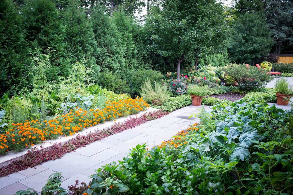 Glorious Glenview Vegetable Garden