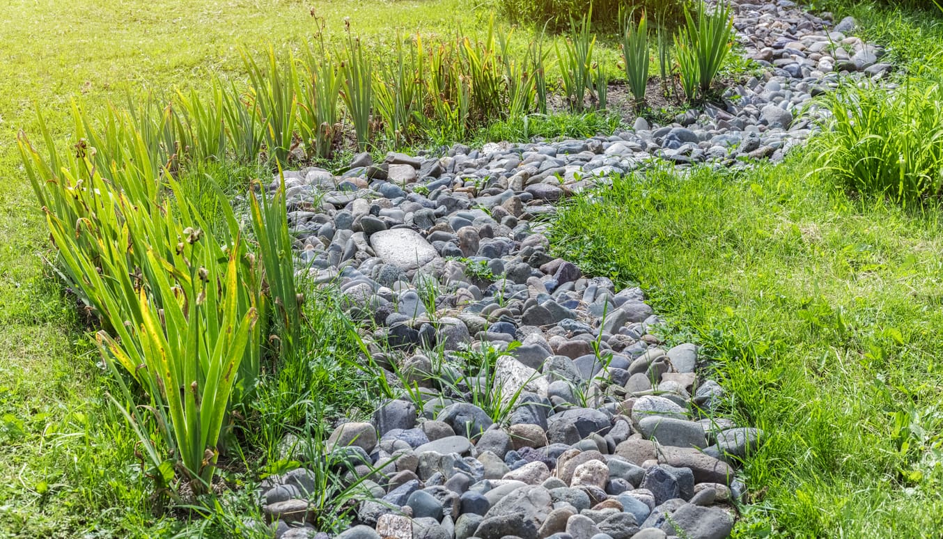 Fixing Soggy Yards in May: Drainage Solutions for North Shore Spring Rains